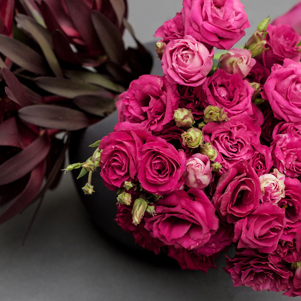 TRILOGÍA FUCSIA Y VINO – BASE 3 ORIFICIOS GRIS