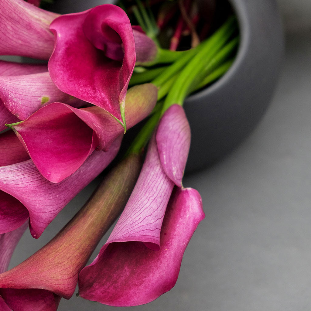 TRILOGÍA FUCSIA Y VINO – BASE 3 ORIFICIOS GRIS