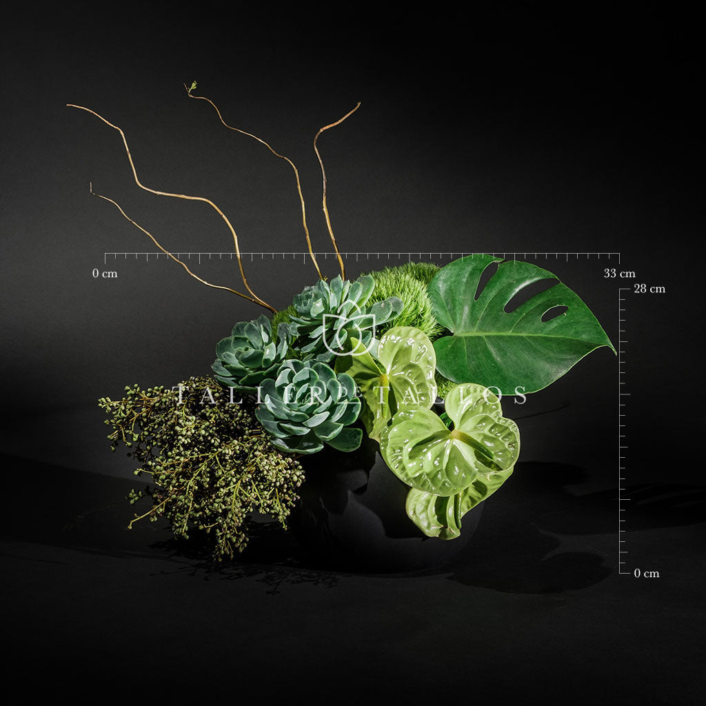 TRILOGÍA VERDE – BASE 3 ORIFICIOS GRIS