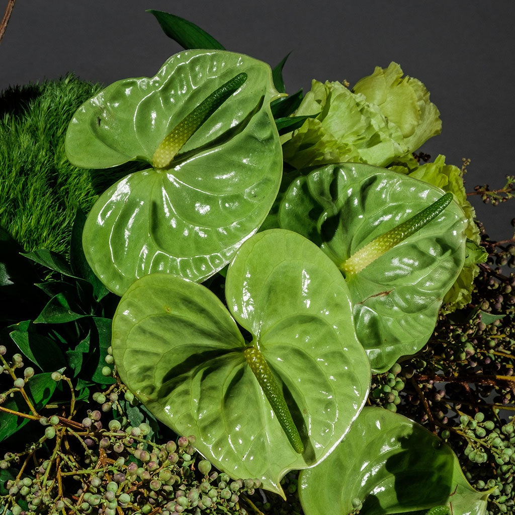 VERDE UNO – BOWL / GRIS - BLANCO